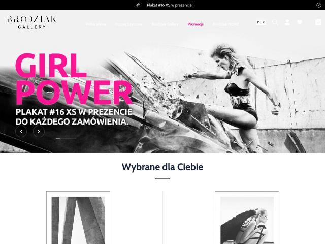 Zobacz Brodziak Gallery